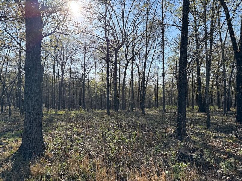 DJI_20260409_085536_918