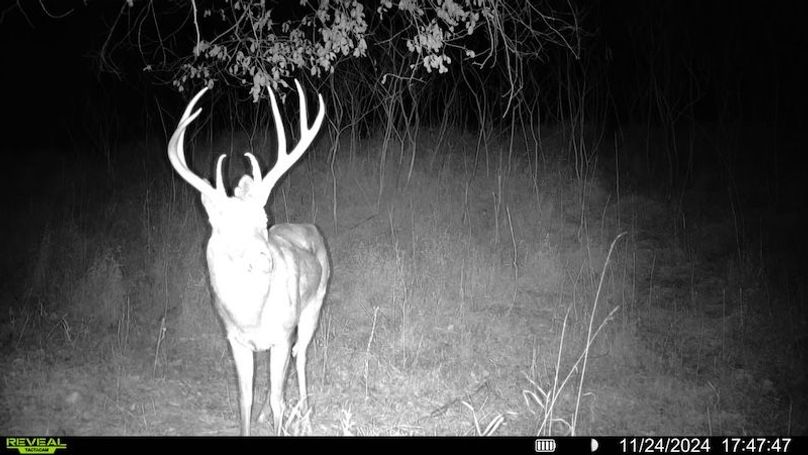 TRAIL CAM 6