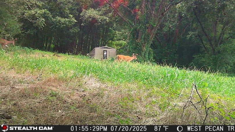 25072013552801003767_ColorizationType.none