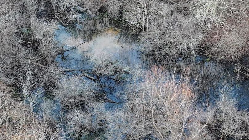 Phillips 8.5 Trahan -20