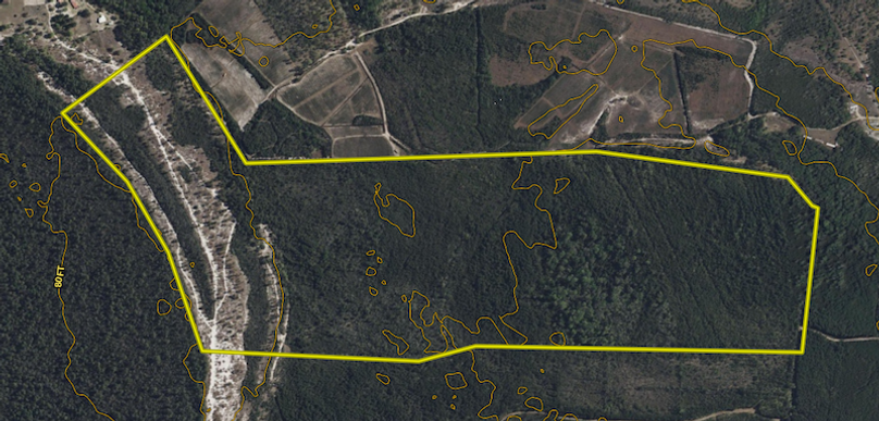 Screenshot 2025-06-30 092034