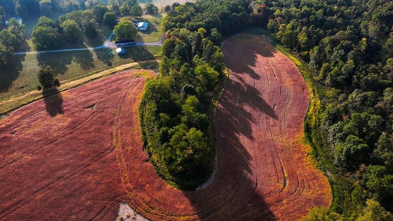 dji_fly_20250917_085120_0517_1758113880817_photo