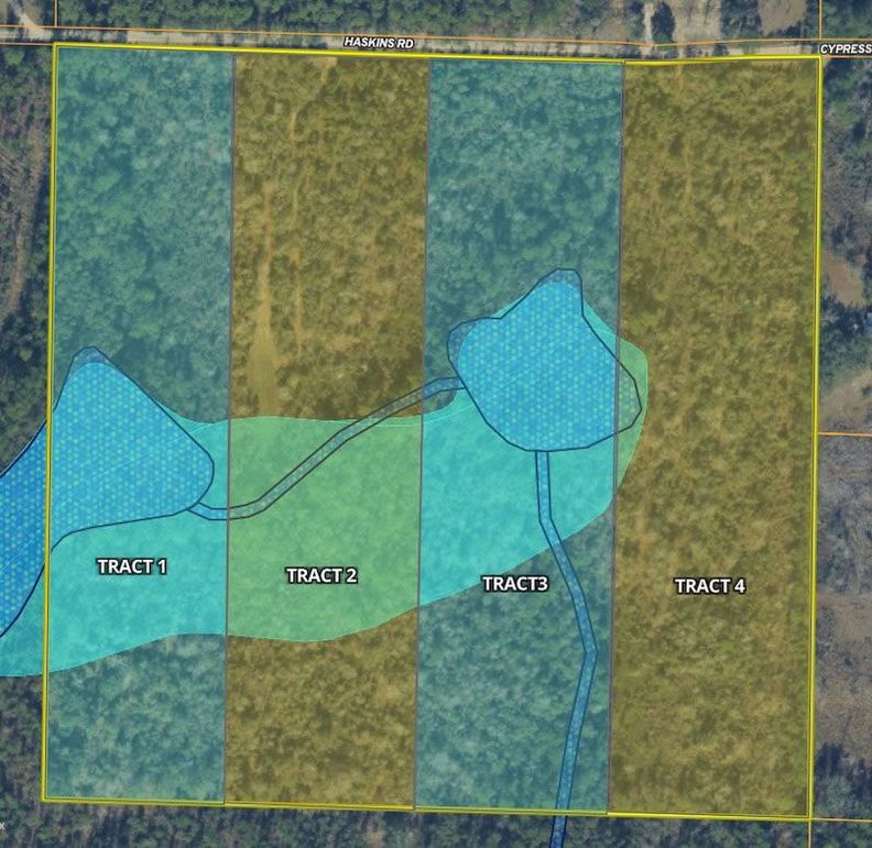 Wetland_FEMA Wash 40 Andrew_1
