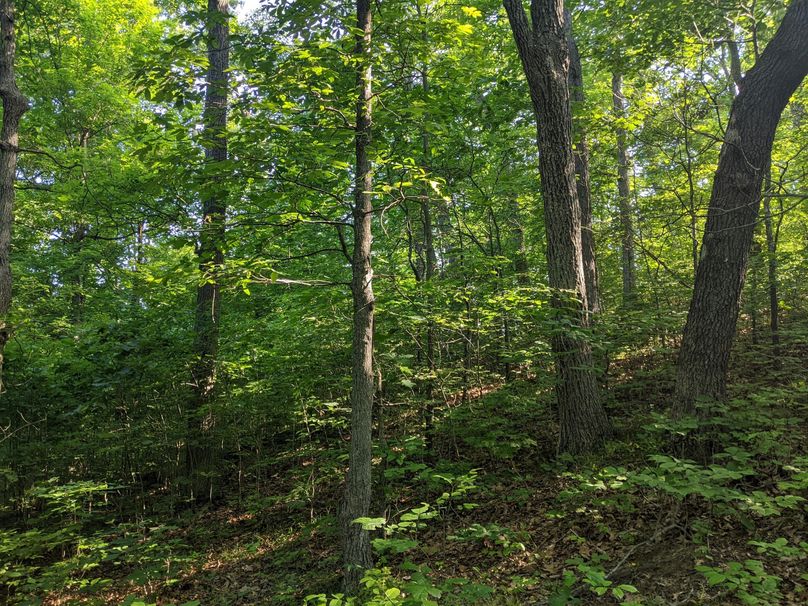 PXL_20230602_133155755