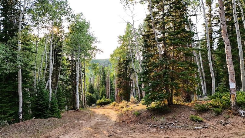 DJI_20250726191431_0327_D