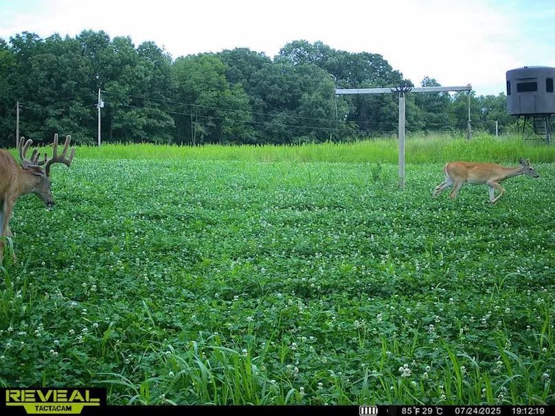 860322065835800-100-3-07242025191238-W1013462