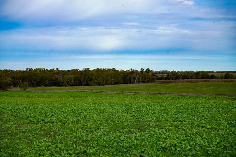 Dickinson Co, 154.5_069