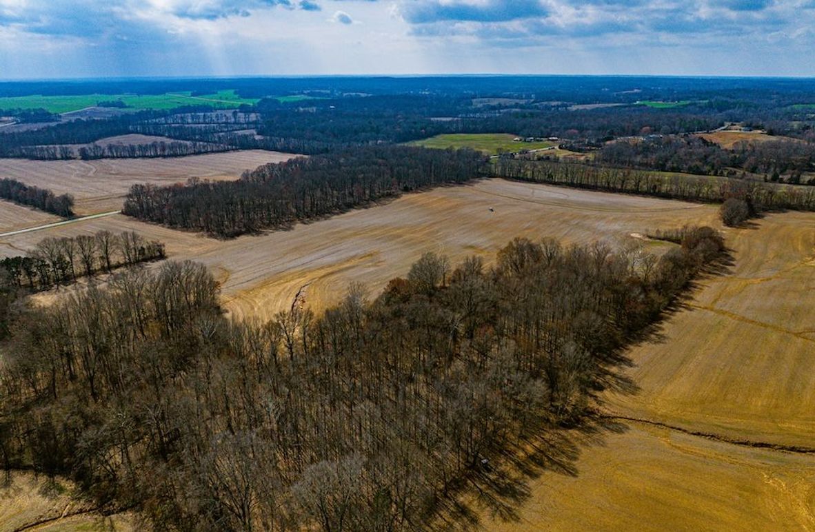 Gibson 140.5 Neese-McGuire-5