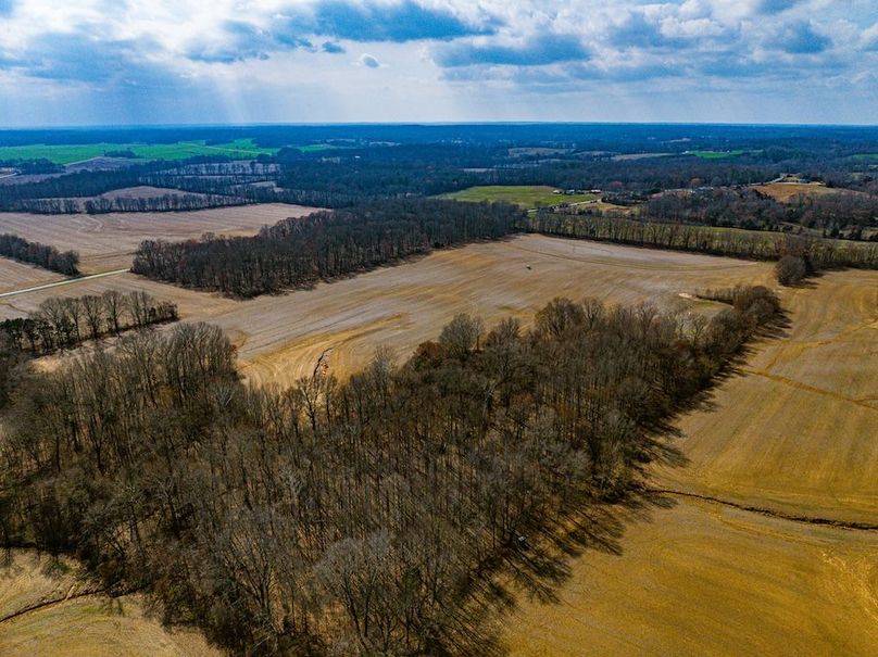 Gibson 140.5 Neese-McGuire-5