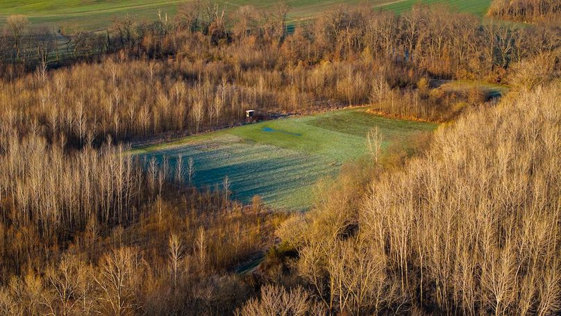 St Clair IL 263.95 Featured_Pro Photo-52