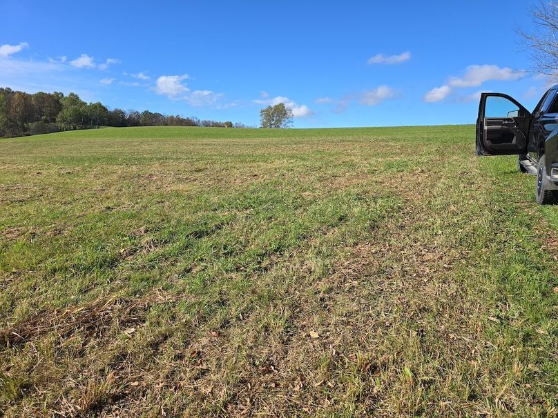 photo_ff595482-c301-4620-9cf1-439959e79438