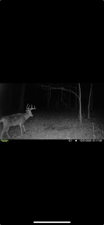 Screenshot 2026-01-06 at 4.30.16 PM