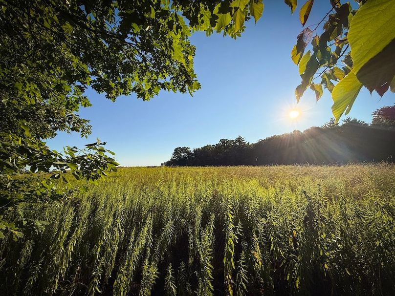 Copy of Wood Tract 4 Photo 12