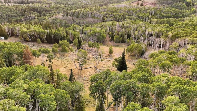 DJI_20250726183506_0198_D