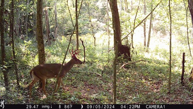 Trail Cam.23