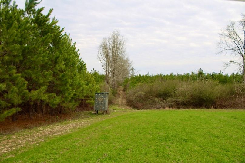 6686C8EB-DD78-4EFF-AB0E-0E5A8D330241_1_105_c