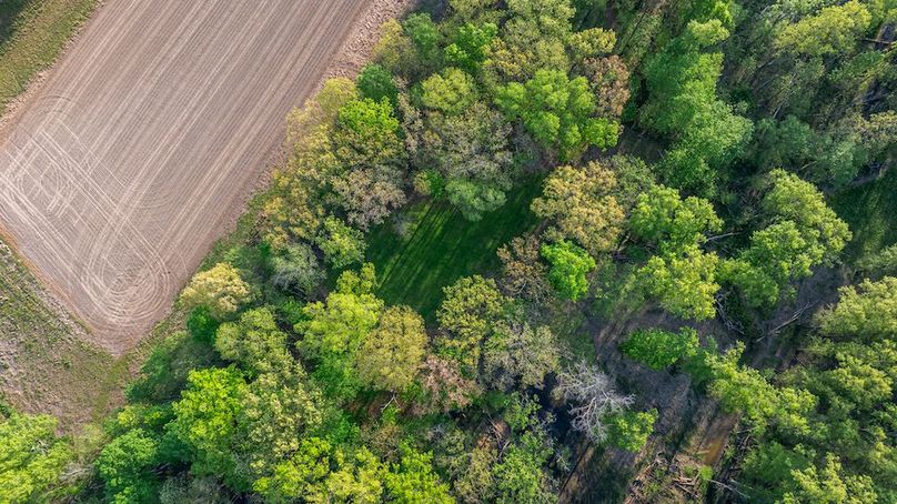 DJI_20260414075543_0011_D