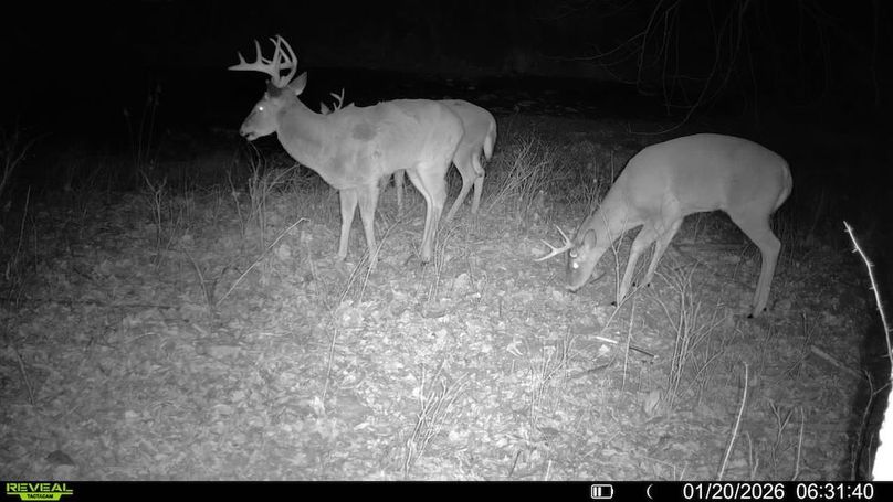 016579007722387-38-2-01202026063140-V-SYFW06820