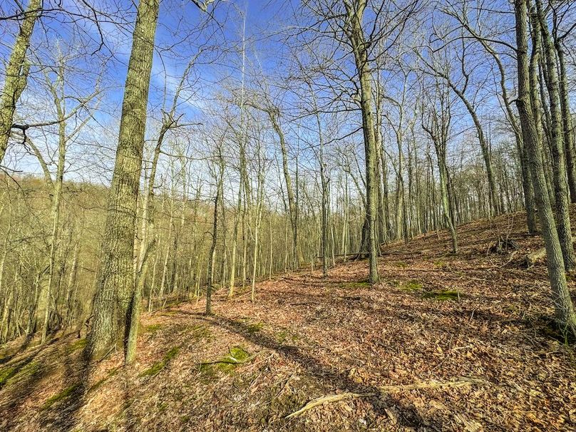 Ritchie, WV 206.08 AC Curriden-26