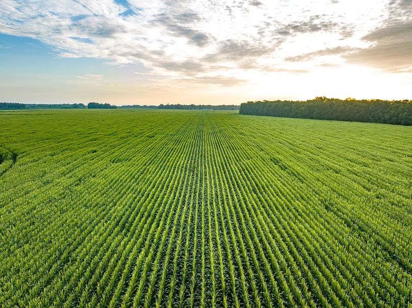 Copy of Noxubee 112.1 +- Tract 1-23