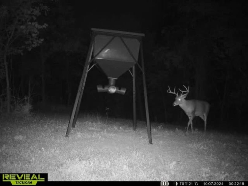 deer pic 9-2