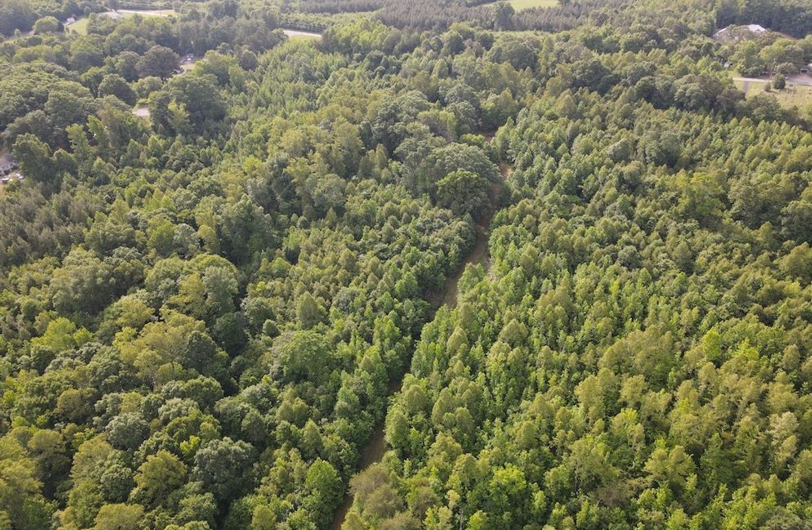 DJI_0835