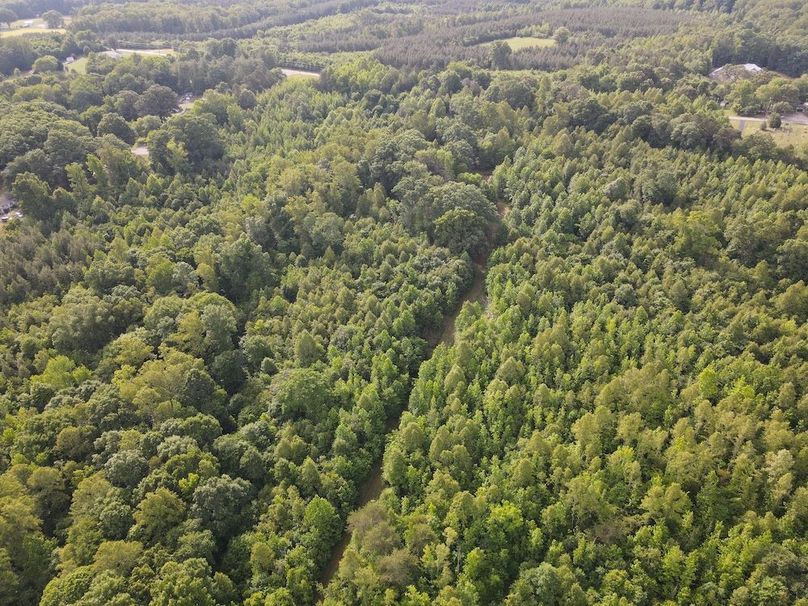 DJI_0835