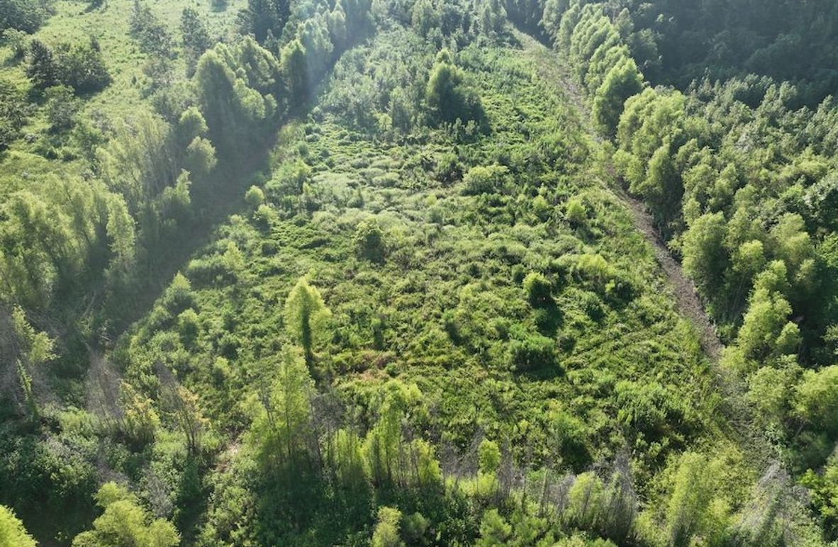 dji_fly_20240822_095438_787_1724354664751_photo