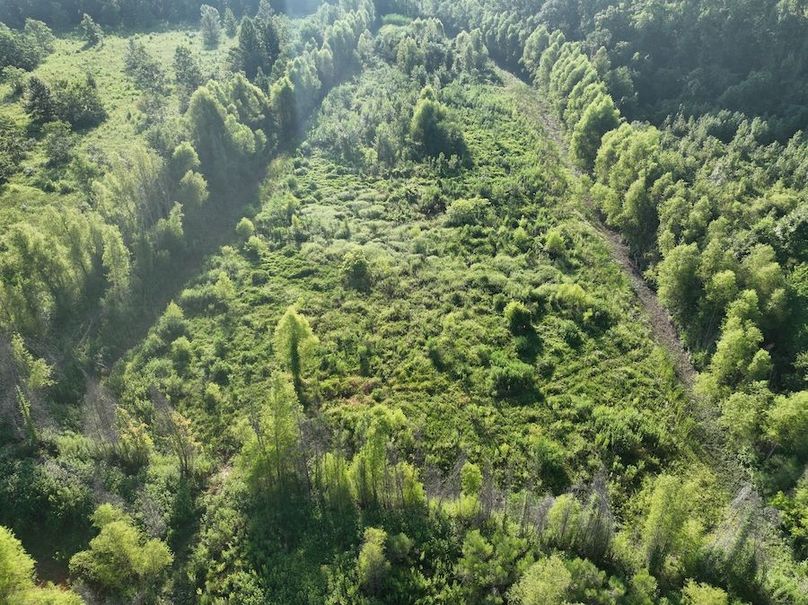 dji_fly_20240822_095438_787_1724354664751_photo