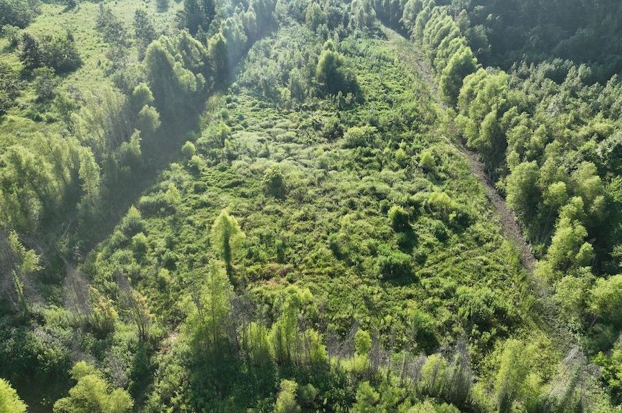 dji_fly_20240822_095438_787_1724354664751_photo