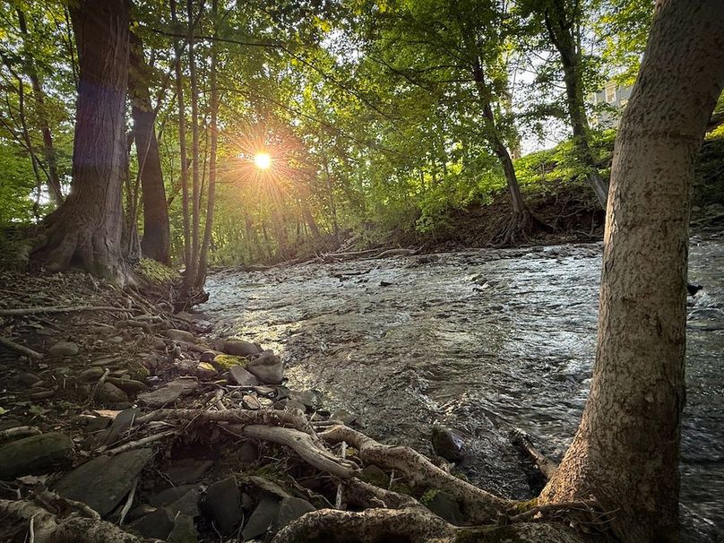 Oswego_3.8_Paro_Photos_39