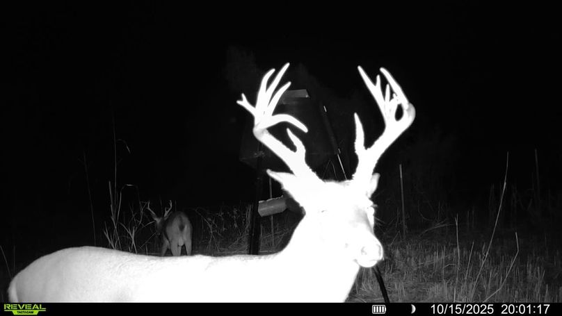 016578005692261-100-4-10152025200117-V-SYFW00154