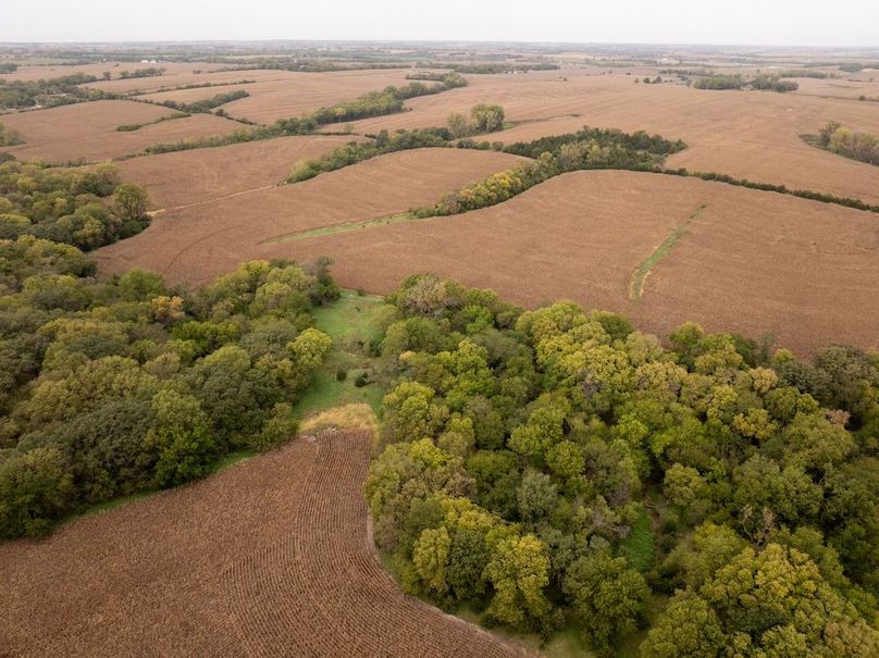 DJI_20251011101501_0121_D