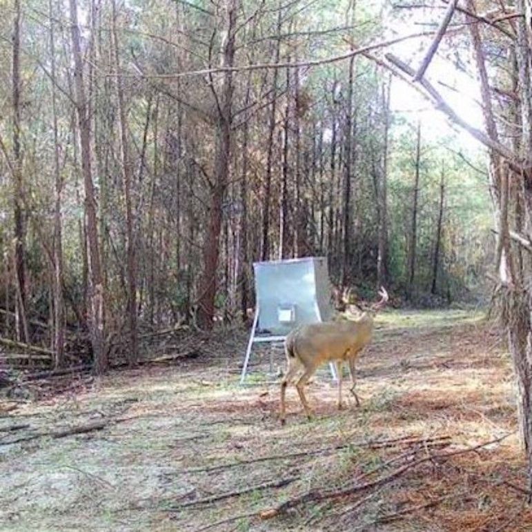 IMG_20240403_011500 (1)