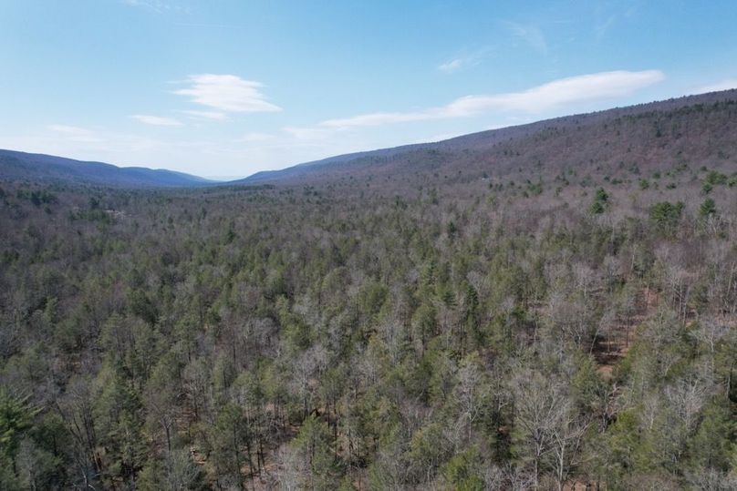 dji_fly_20260330_124846_560_1775656601225_photo