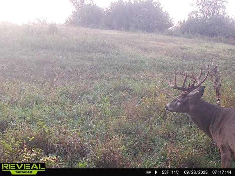 865814040391144-50-1-09282025071744-W1002917