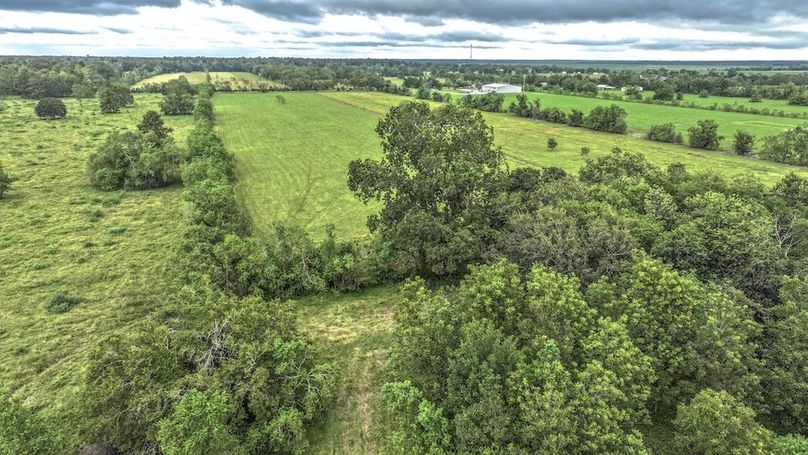 Copy of DJI_20240905131253_0264_D