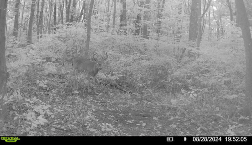 BCE855E6-EB95-48C4-B178-41667001D371