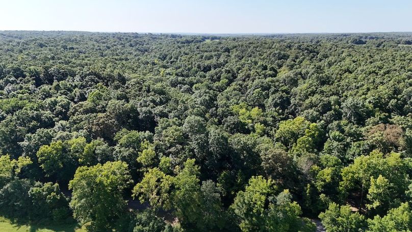 DJI_20250730110355_0003_D