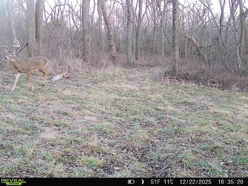 860322064036699-10-4-12222025184052-HD-SYFW4369