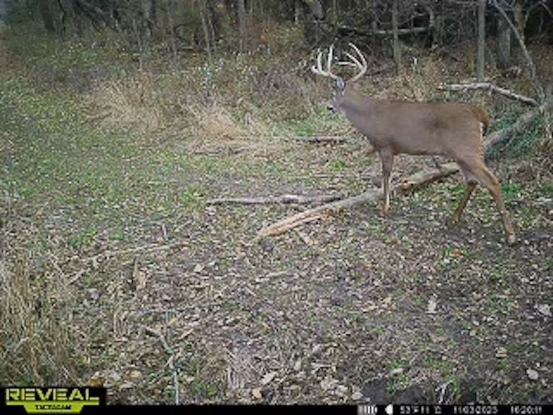 865509050473705-90-4-11032023162030-W1003633