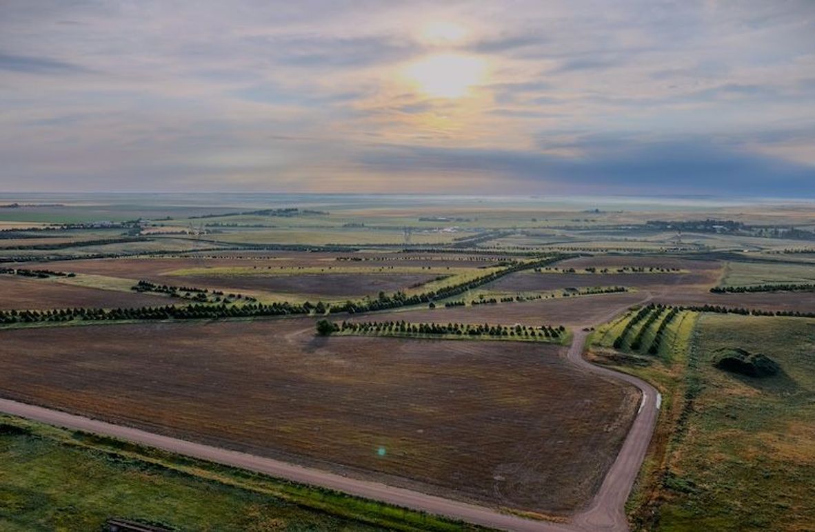 DJI_20250712063214_0249_D-HDR