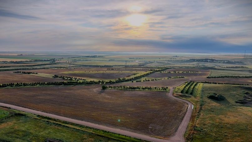 DJI_20250712063214_0249_D-HDR