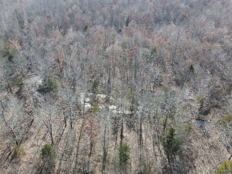 dji_fly_20250213_142302_7_1739478191732_photo