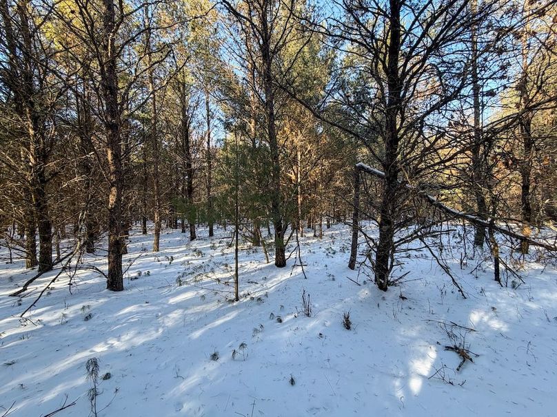 Monroe 68.2 - 107 of 120