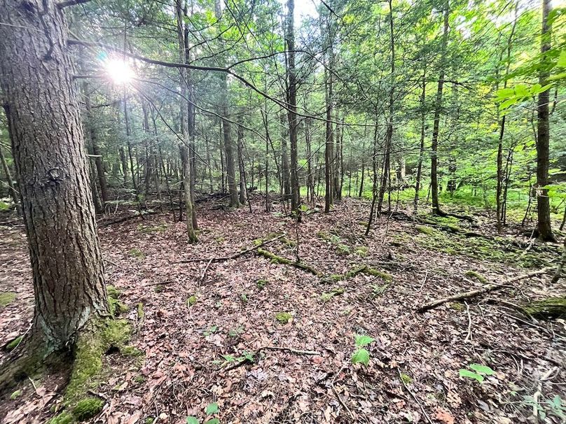 Chemung_78.26+Gutchess_Lumber_Photos_15