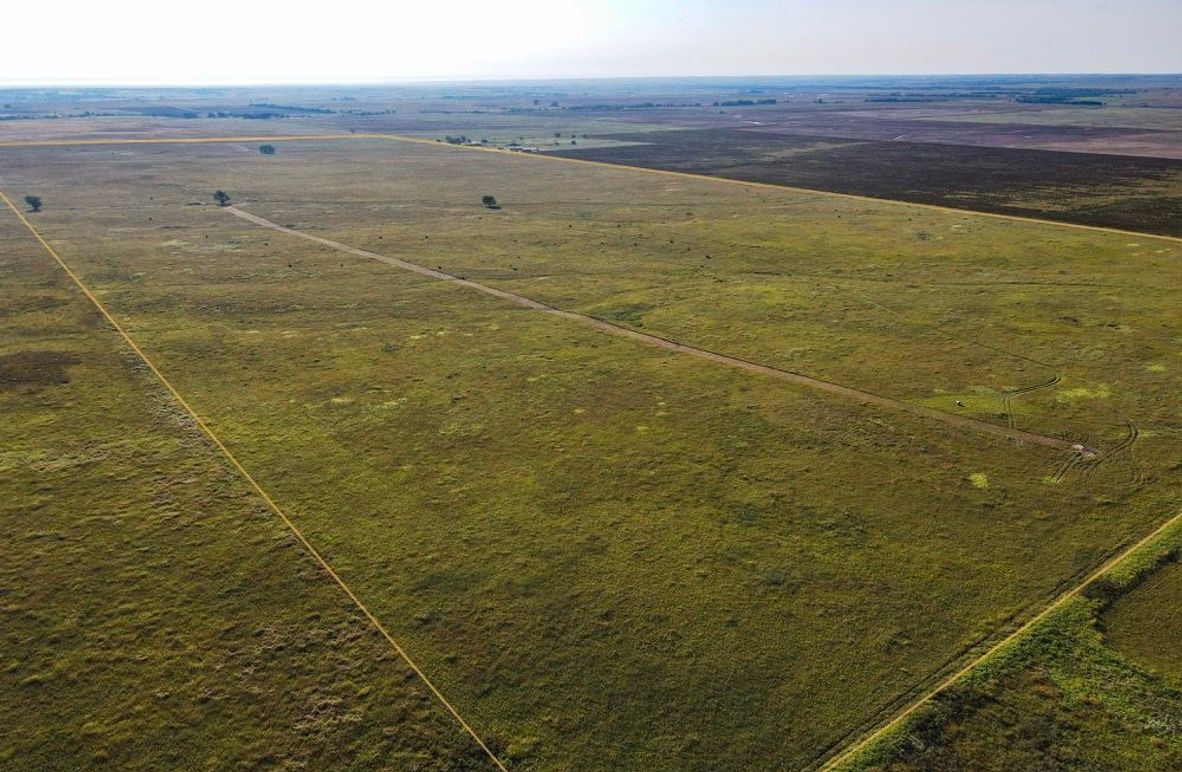 Comanche321_0004 copy