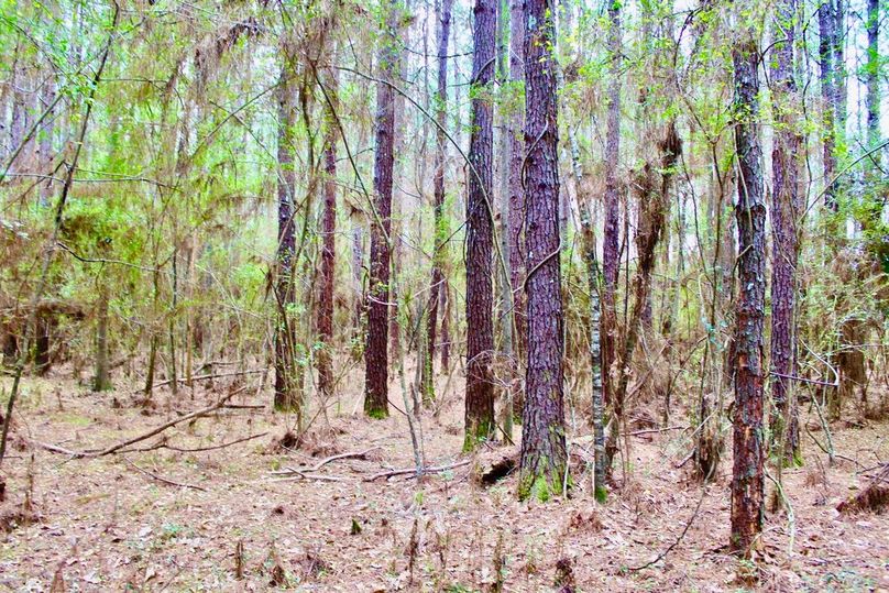 3B7D4A86-A3CB-4144-BAE2-C65957083A06_1_105_c