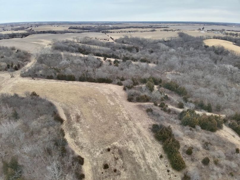 A87FCB89-4BA4-44F5-AB33-6FDD324F43F6_1_201_a