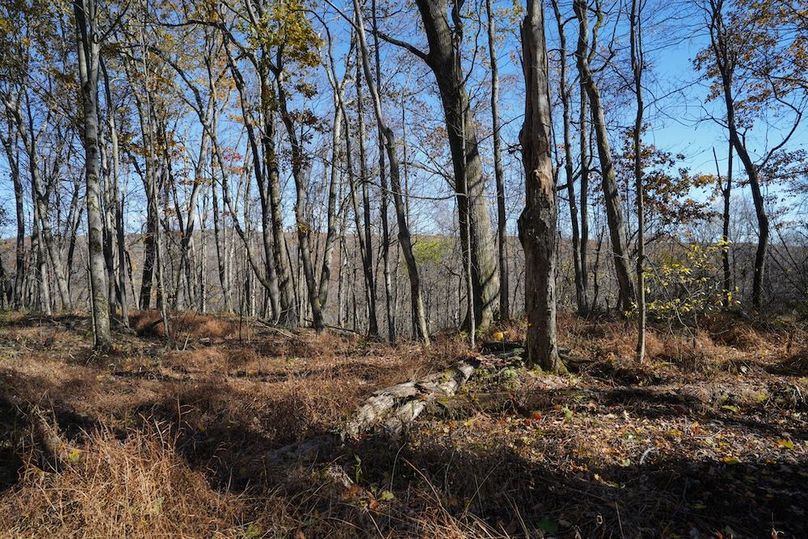 Somerset, 10.91, Tinkey-36